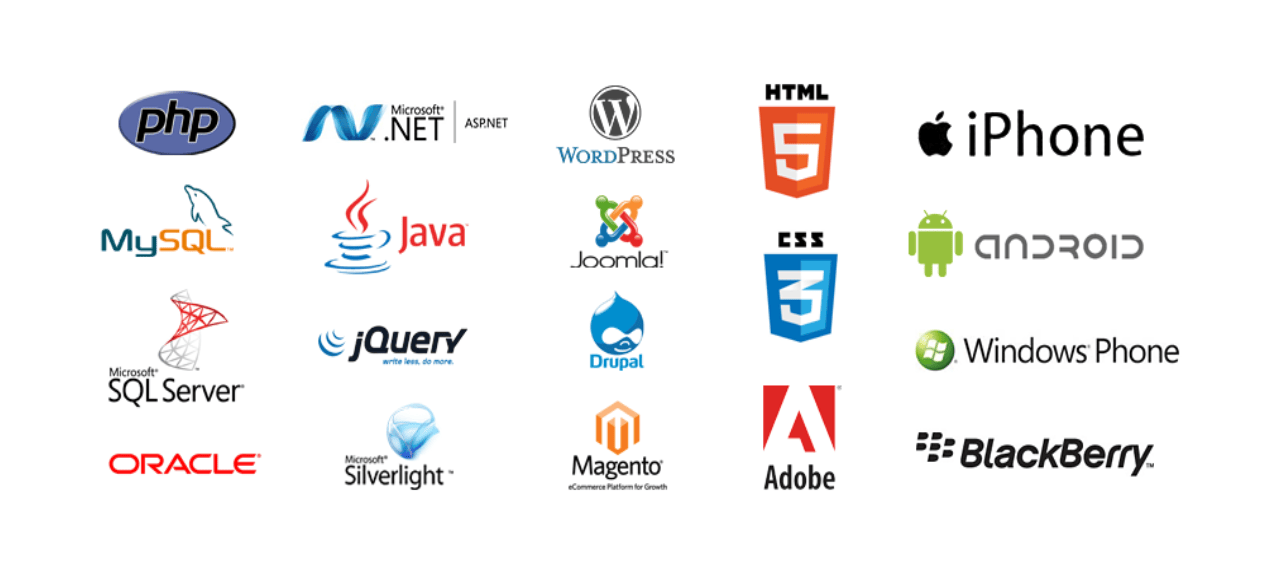 website development company